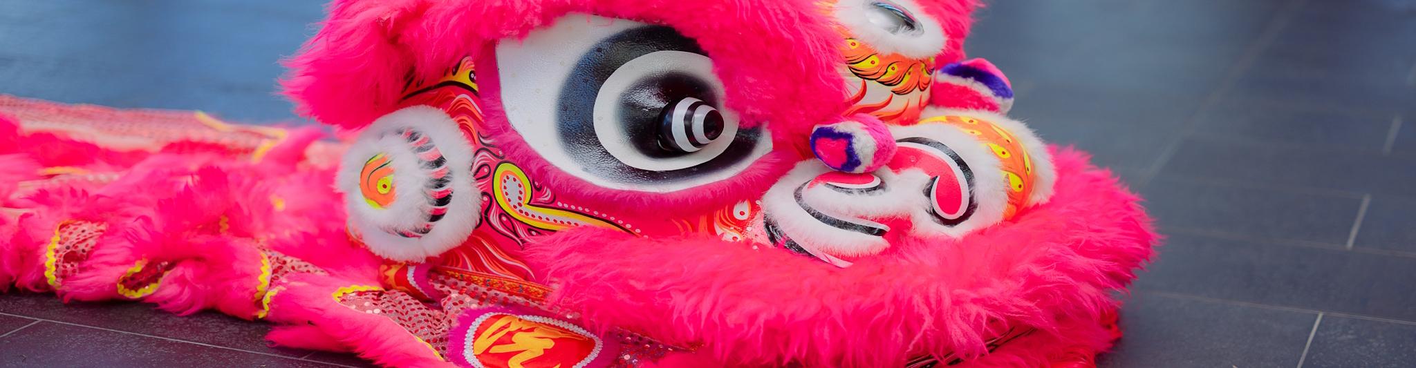 Lion Dance at 2023 Immersia (Courtesy ANU School of Culture, History & Language)